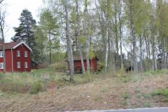 IMG_9020.JPG
