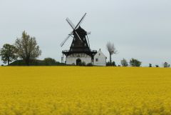 IMG 8737