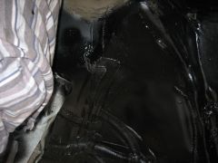 IMG 3375