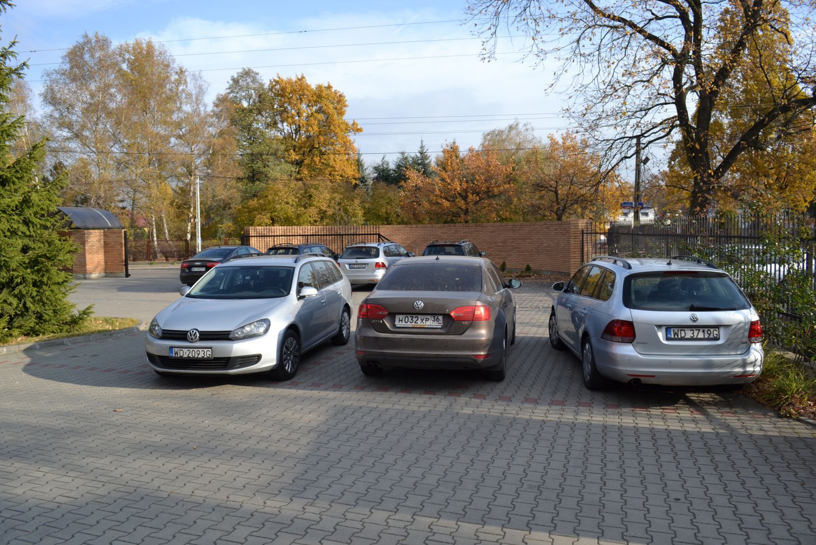 DSC 0555сжатый