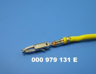 N10335807