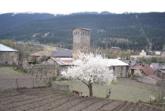 DSC 7575