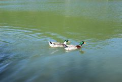 IMG 3400