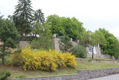 IMG 9184