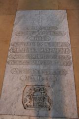 IMG 0247