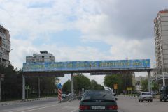 IMG 5381