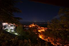 DSC 7359
