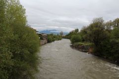IMG 0929