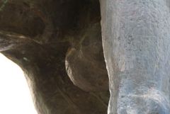 IMG 9905