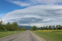 IMG_5966.JPG