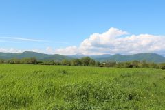 IMG 9977