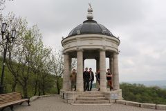 IMG 9175