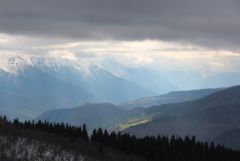 IMG 0553