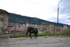 DSC 7573
