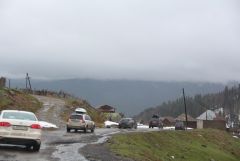 IMG 0870