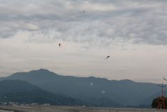 IMG 0757