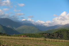 IMG 0096