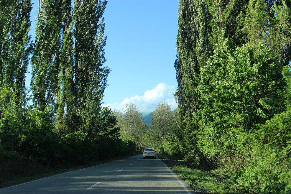 IMG 3464