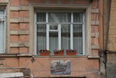 IMG 9555