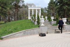 IMG 8895