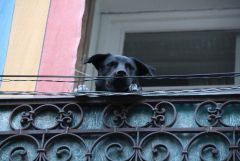IMG_9862.JPG