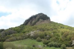 IMG 5881