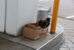 IMG_9273.JPG