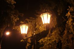 IMG 9095