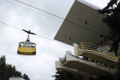 IMG 5539