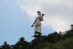 IMG 9551
