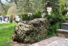 IMG 8874