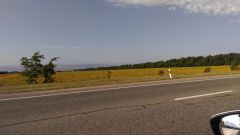 IMAG0376