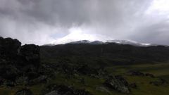 IMAG0391