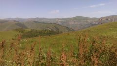 IMAG0382