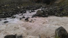 IMAG0403