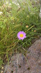IMAG0412.jpg