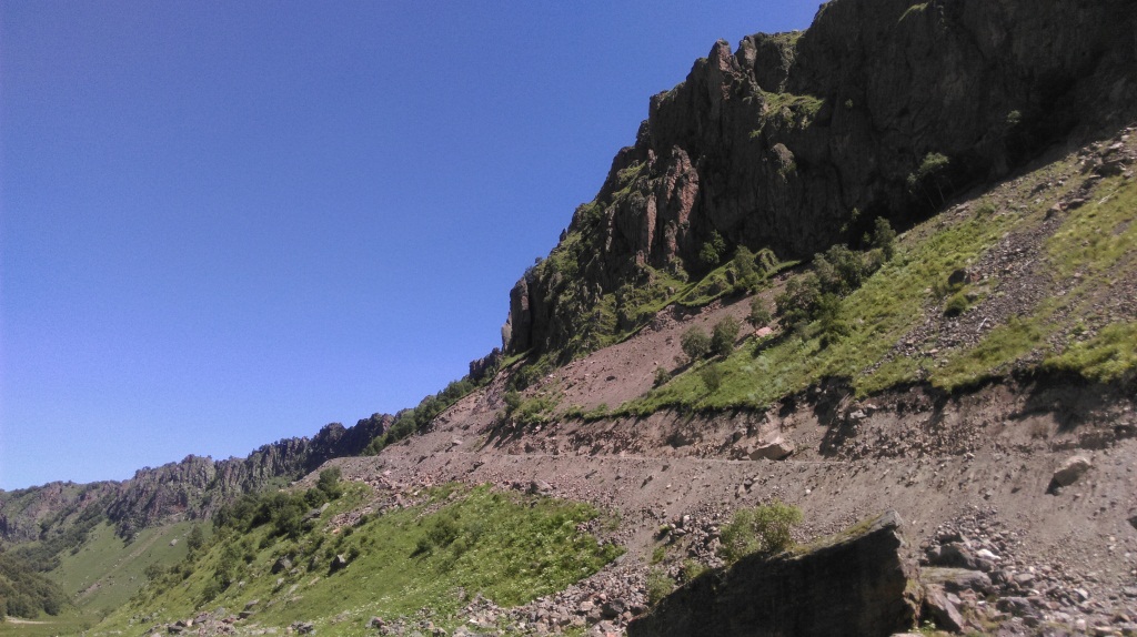 IMAG0274