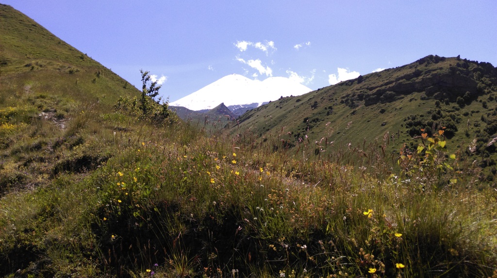 IMAG0346