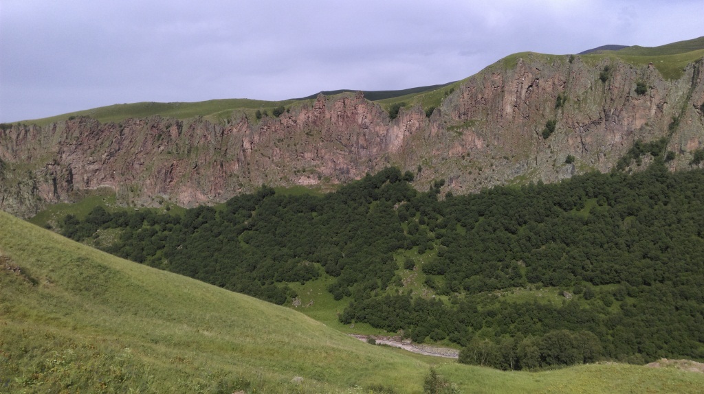 IMAG0424.jpg