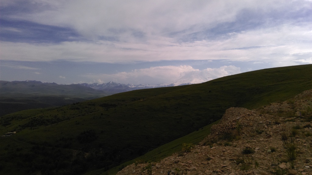 IMAG0427.jpg