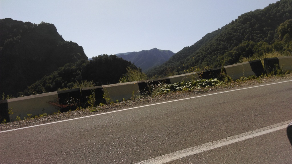 IMAG0379