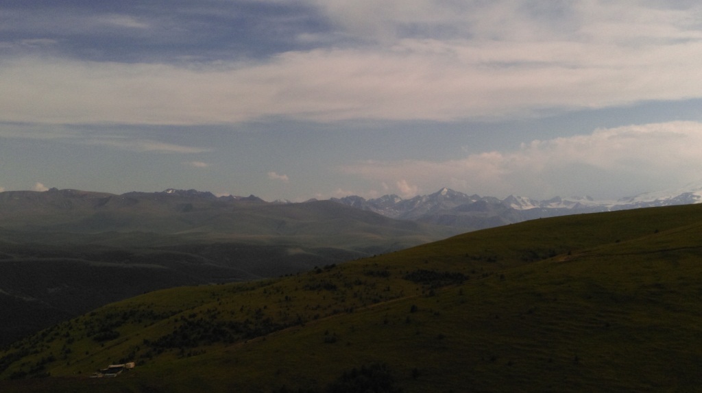 IMAG0429.jpg