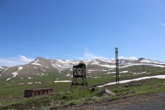 IMG 0145