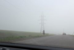 IMG 0237