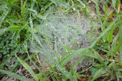 DSC 0230