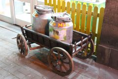 IMG 9959