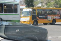 IMG 9653