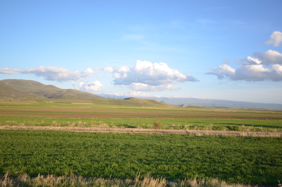 DSC 0758