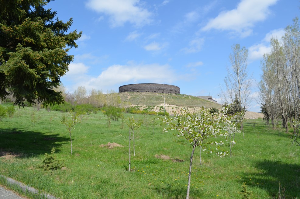 DSC 0876