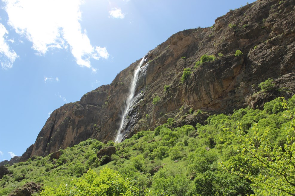 IMG 0068